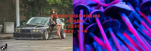 Альфа ПВП Алзамай