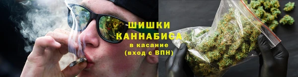 прущие грибы Абаза