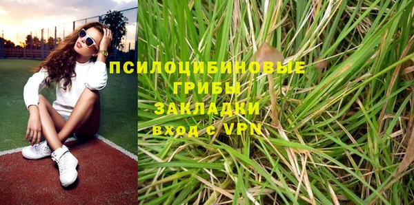 индика Алексеевка