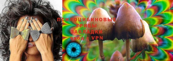 прущие крисы Алексин