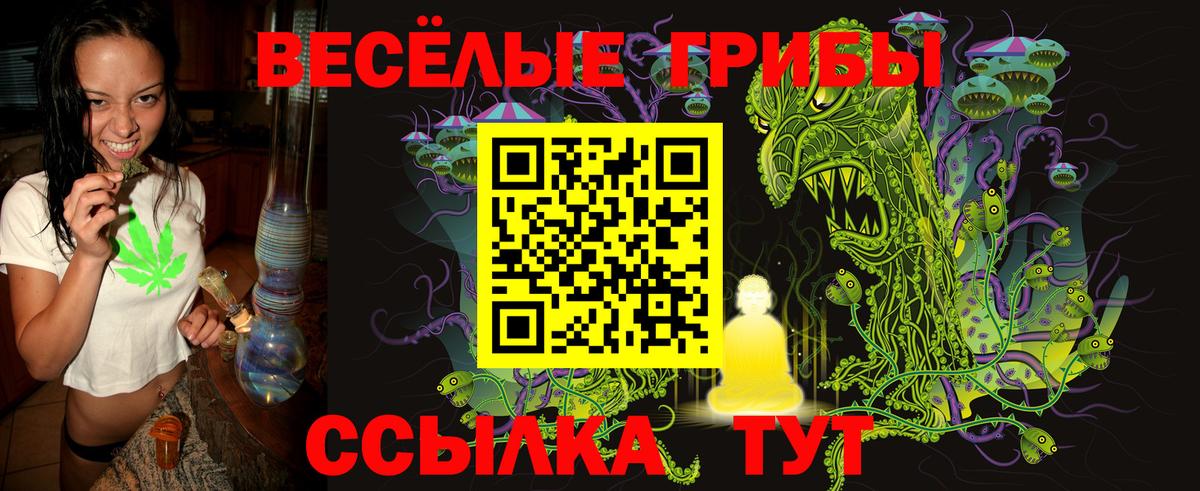 Псилоцибиновые грибы GOLDEN TEACHER  Вход с VPN  Кингисепп 