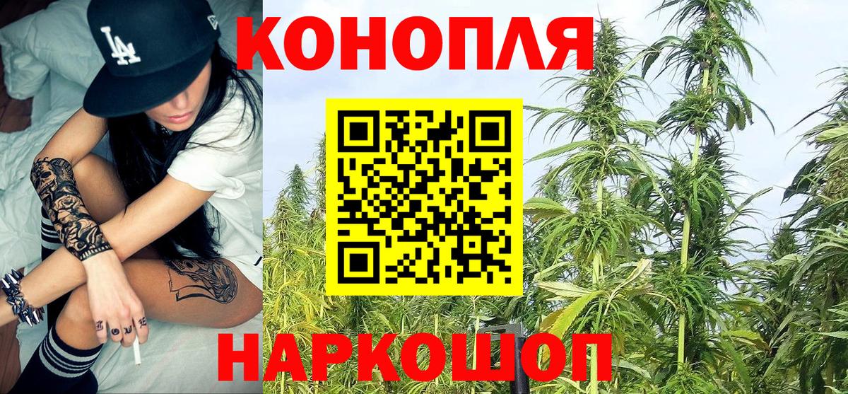 Шишки марихуана гибрид  Бошки марихуана AK-47  Кингисепп  Шишки марихуана Amnesia  Вход с VPN  Бошки марихуана Bruce Banner 