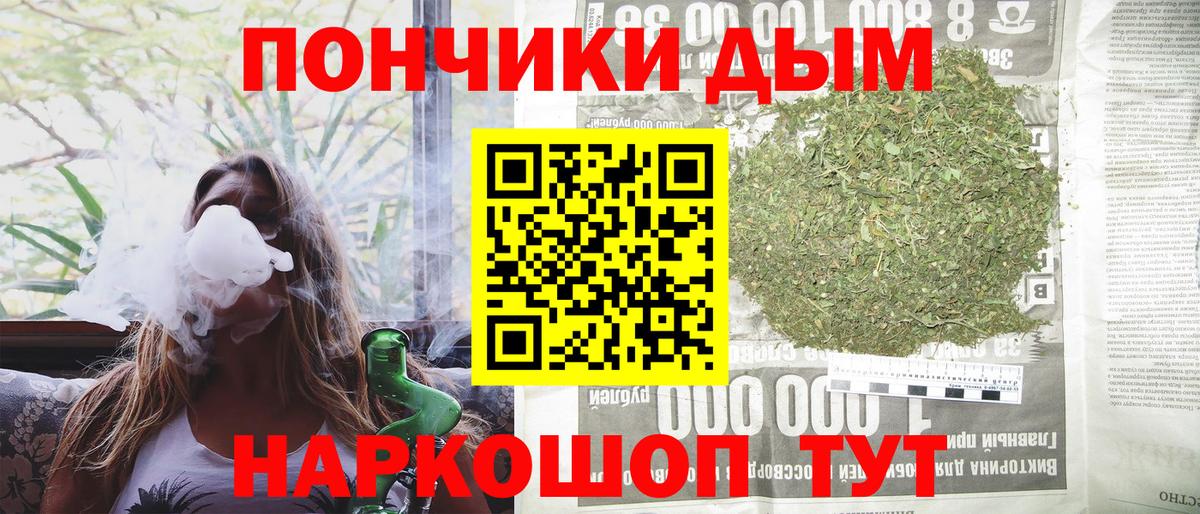 A PVP Кингисепп